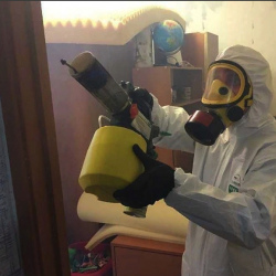 Уничтожение клопов в квартире. Динамо